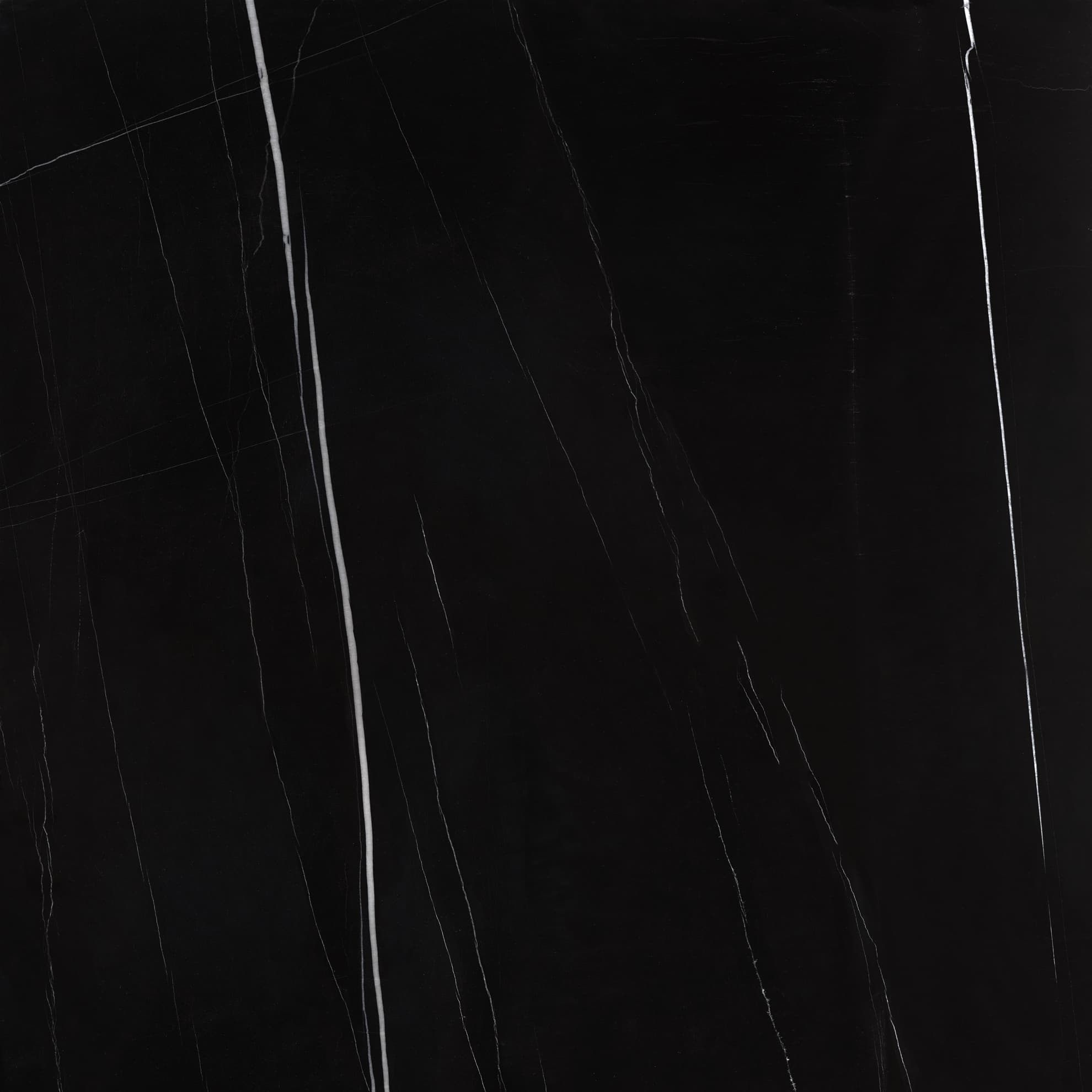 Sahara Noir