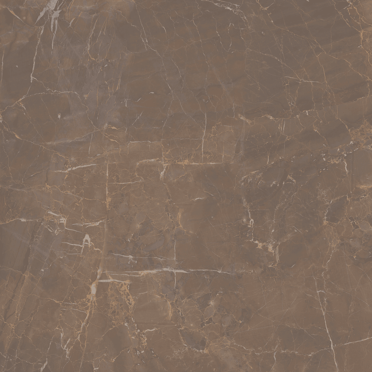LM CARRARA MT 24X48 R